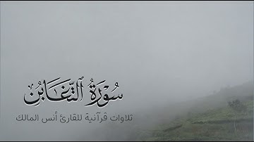 تلاوة سورة التغابن للقارئ أنس بن صالح المالك من ليالي رمضان لعام ١٤٤٤ بجامع الرفيعة ببريدة