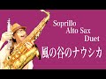 【風の谷のナウシカ】Soprillo(Piccolo Sax) & Alto Sax Duet