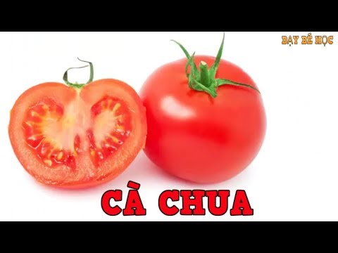 Video Dạy bé học các loại rau củ | Bé nhận biết rau củ quen... - youtube