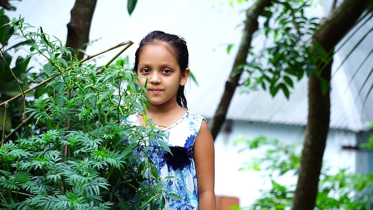 Sony 55 210mm Lans On Review YouTube sony-55-210mm-lans-on-review-youtube