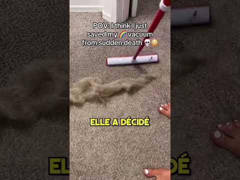 Cette fille habite dans la maison la plus sale 🐶