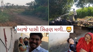 આજે પાસી સિહણ મળી..? @dhavalmor7559 #ahir #villagelife #horse #dhavalmor