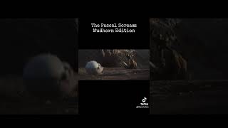 The Pascal Scream: Mudhorn Edition