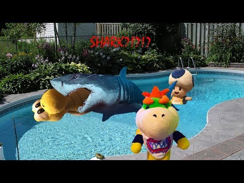 Bowser Jr's Shark Problem