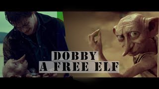 Harry Potter // Dobby - A  free elf.