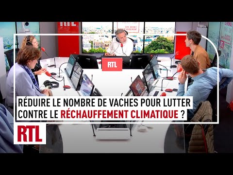 Limiter le nombre de vaches pour réduire le gaz à effet de serre, pour ou contre ?