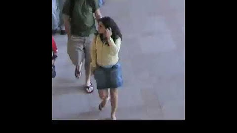 Videomosaic LabelMe walking