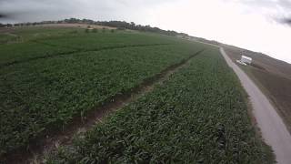 OpenPilot Revolution Testing Quite Smooth & Some Dropouts...
