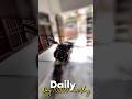 Day 10/100 days mini vlog Challenge #minivlog #youtube #youtubegrowth #shortsfeed