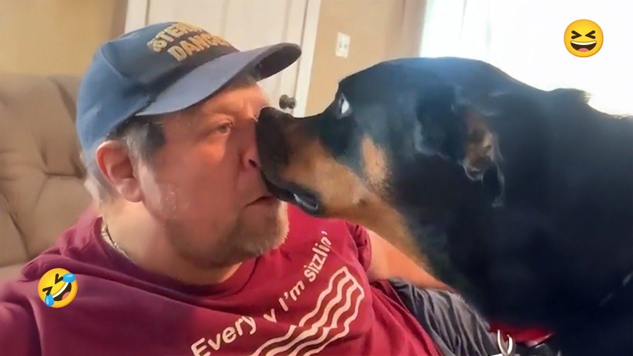 HILARIOUS DOG FAILS 🤣 Funniest Dog Videos of the Year 2025 ! 🐕 #8