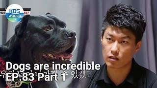 Dogs are incredible EP.83 Part 1 | KBS WORLD TV 210707