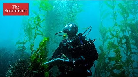 Can technology save the rarest creatures on the planet?