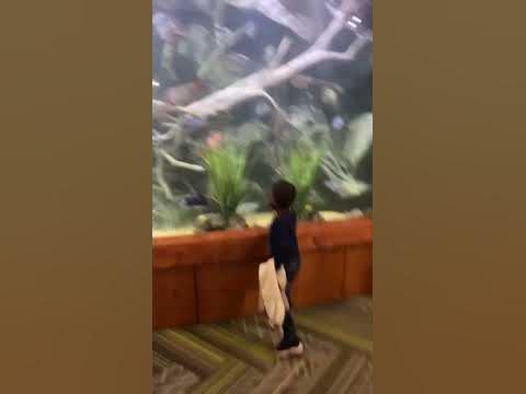 First time at Fallbrook Church - YouTube