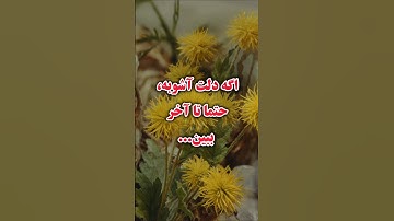 "آرامش واقعی فقط با یاد خداست 💜 | آیه ۱۳ سوره رعد، نسخه نجات‌بخش دل‌های آشوب"
