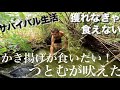 【サバイバル】獲らなきゃ食えない！男のサバイバル！スジエビを狙う【ホームレス】