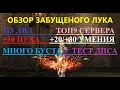 Обзор забущеного лучника/113 лвл/топ 9 на сервере/+30 скилы. Lineage 2 Homunculus