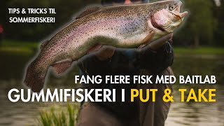 Gummifiskeri i Put & take - Fang flere fisk med Baitlab -  Tips & tricks til Sommerfiskeri