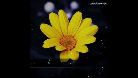 عبد العزيز الزهراني//حالات واتس اب قرآن كريم//مقاطع دينية قصيرة