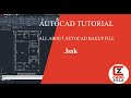 HOW TO RECOVER AUTOCAD MAIN FILE ..... ????