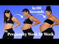 Pregnancy transformation week by week (watch me grow in 60 seconds!)