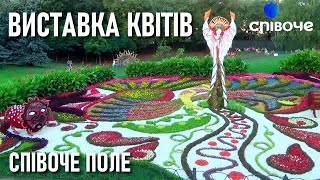 🌺 Виставка квітів — Співоче поле — Київ довоєнний 🌺 Exhibition of flowers — Kyiv 🇺🇦 Ukraine