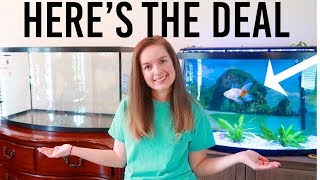 Heres The Deal With My Goldfish Tanks