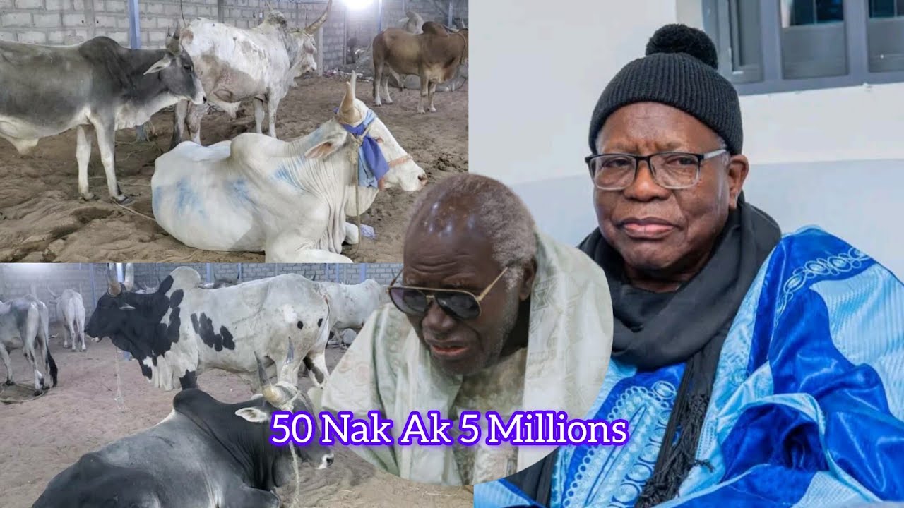 DIÉBËLÉ ADIYA WAKEUR SERIGNE MOUDOU AMINTA Fall 50 NAK Ak 5 MILLIONS 