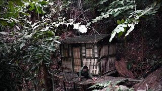 Build a Bamboo House in The Monsoon Tropical Forest, Alone in 15 Days to Start