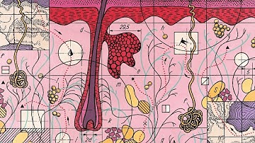 Ruimtelijke multiomics: een revolutie in precisiegeneeskunde