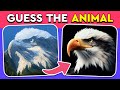 Guess the hidden animal by illusion  easy medium hard levels quiz
