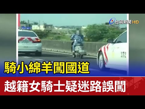 騎小綿羊闖國道  越籍女騎士疑迷路誤闖