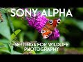 Sony Alpha SETTINGS for WILDLIFE Photography