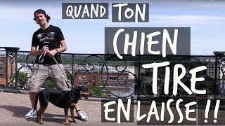 QUAND TON CHIEN TIRE EN LAISSE - TOOPET / Feat AXL