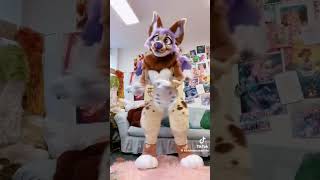 Red #furry #furries #fursuit #viral #tiktok #fyp #shorts