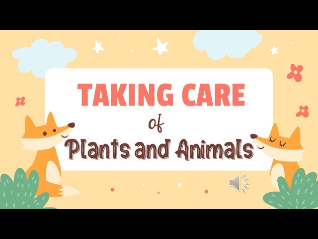 G1 Science Taking Care of Plants and Animals - YouTube