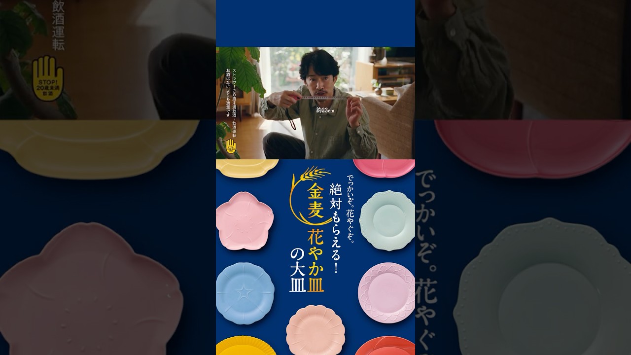 金麦『23センチのお皿』篇 15秒縦型 竹野内豊 サントリー CM - YouTube
