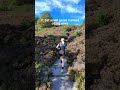How To Get Back To Running After An Injury
