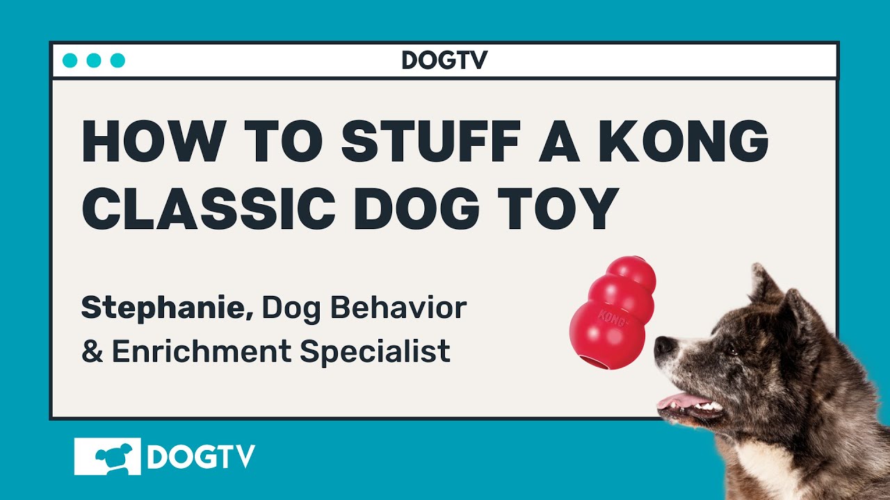 How to Stuff a Kong (or MANY Kongs!) - Smart Dog University