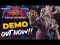 Poly Fighter: Roguelike Fighting Game | Official Demo Trailer