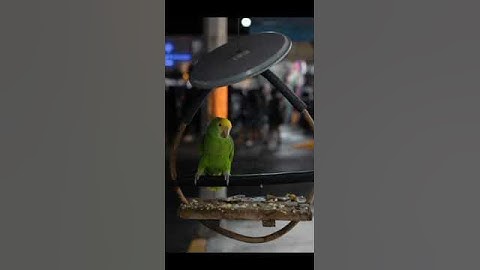 #المصحف #اكسبلور #راحة_نفسية قرآن كريم