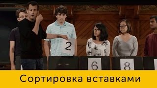 Сортировка вставками (Insertion Sort). Фрагмент 7 лекции cs50