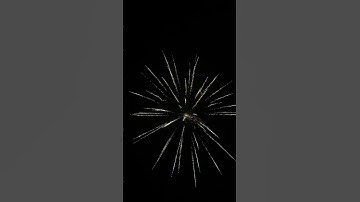 东信-DANCING Firework 3 寸礼花弹  锦冠兰大丽升尾    8‘’DISPLAY -SHELL   Golden Crown dahlia