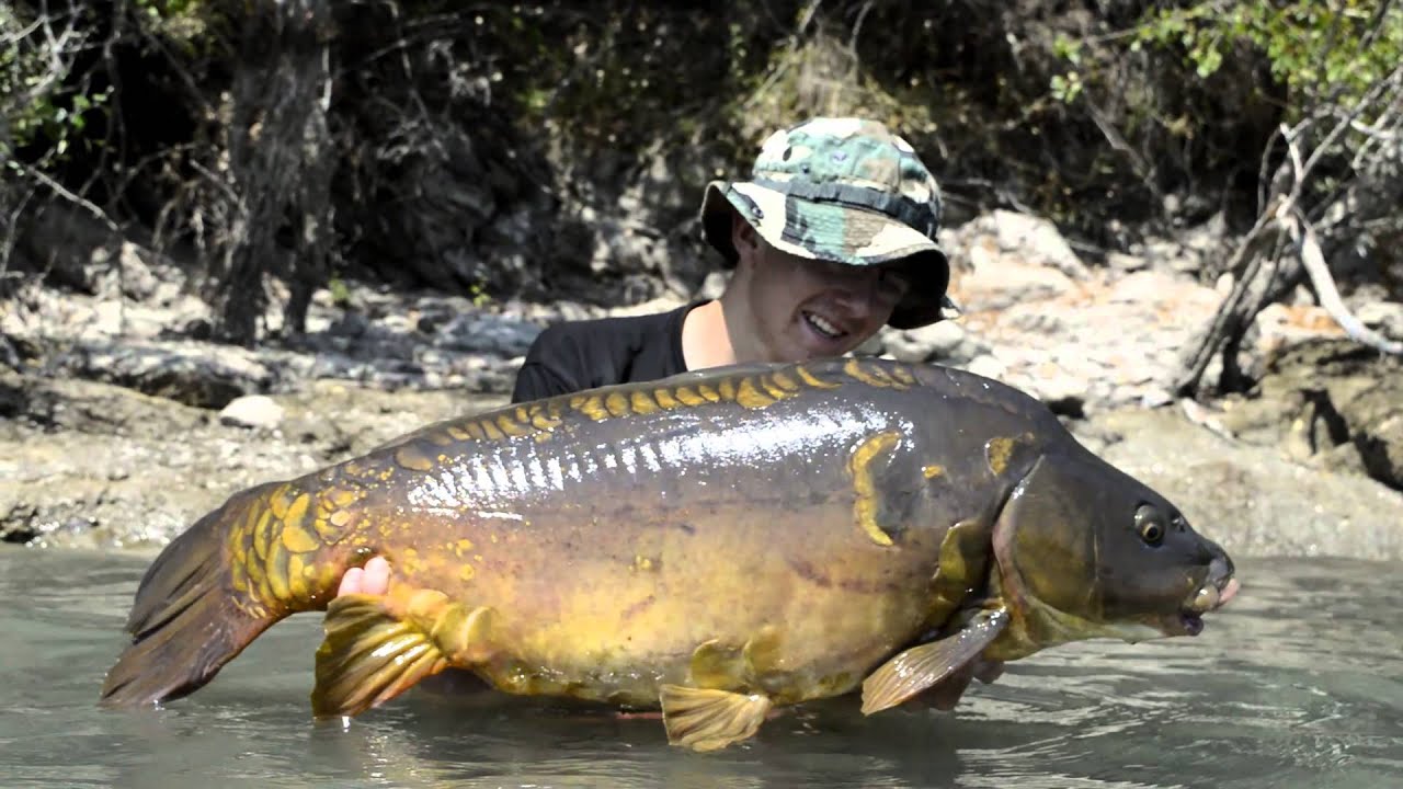 Périple sur de grandes eaux (Pêche de la Carpe)