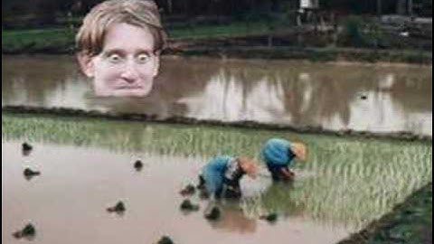 Harass My Vent - Montage