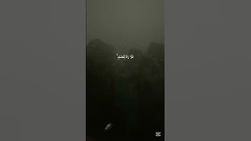 سورة (يونس) الآية (١٠٧) بصوت القارئ/ عبد الرحمن مسعد