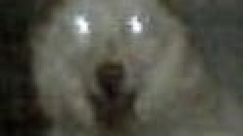 doors|SEEK CHASE simple sandbox 2 (SSB2)