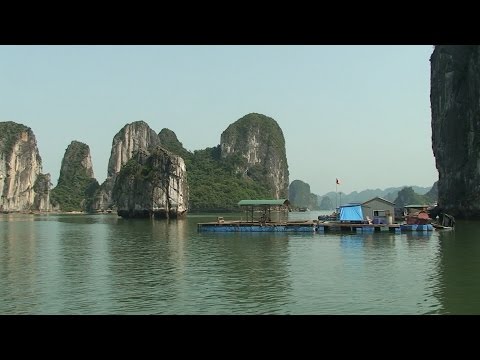 Wideo: Natura Wietnamu: geografia, zabytki, flora i fauna kraju