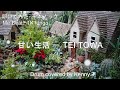 甘い生活 - TEI TOWA