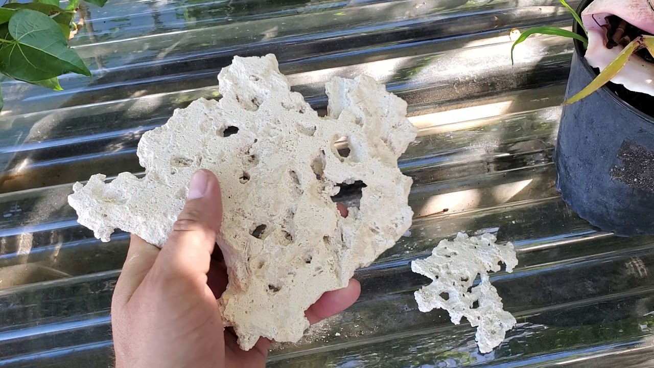 Ultra Thin Dry Shelf Rock by Addictive Reef Keeping