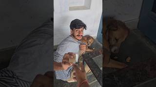 please do support us#reels #adoptstrays #donate #youtube